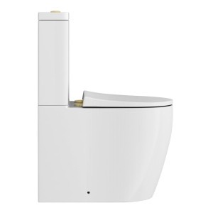 Arezzo Compact BTW Close Coupled Toilet with Soft Close Seat (Brushed Brass Flush + Hinges)