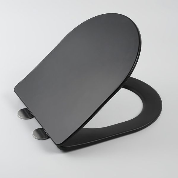 Arezzo Matt Black Rimless Back to Wall Toilet incl. Soft Close Seat - Image 2