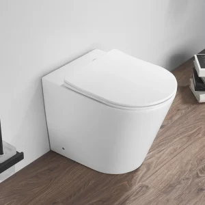 Arezzo Matt White Rimless Back to Wall Toilet incl. Soft Close Seat