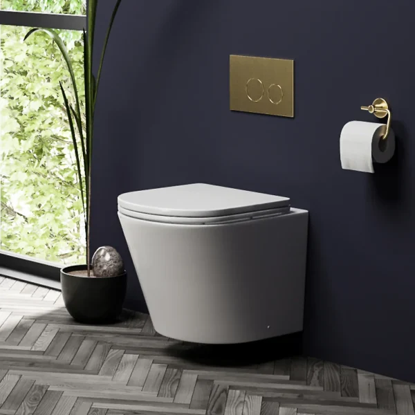 Arezzo Matt White Rimless Wall Hung Toilet with Soft Close Seat