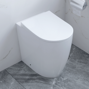 Arezzo Back to Wall Comfort Height Toilet + Soft Close Seat