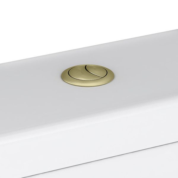 Metro Compact Toilet (Brushed Brass Flush + Hinges) 555mm Projection - Image 4