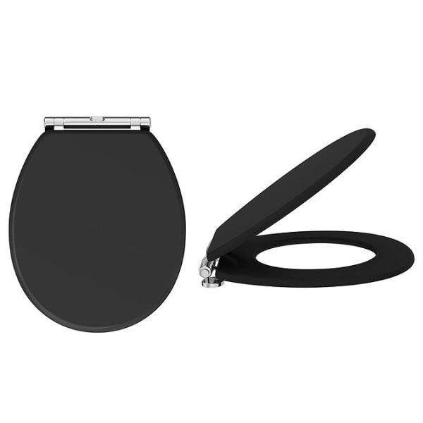 Chatsworth Traditional Back To Wall Pan + Soft Close Seat - Image 4