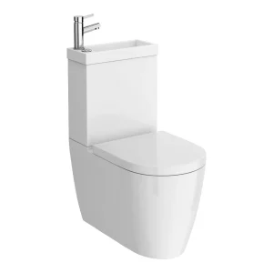 Iconic Combined Two In One Wash Basin + Toilet