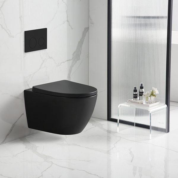 EcoDelux Compact Toilet Frame with Matt Black WhirlFlush Toilet and Matt Black Flush Plate - Image 5