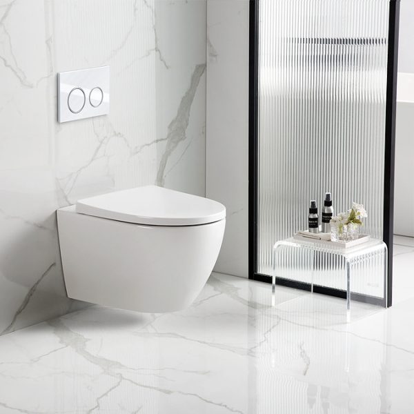 EcoDelux Gloss White WhirlFlush Wall Hung Pan & Soft Close Seat - Image 3