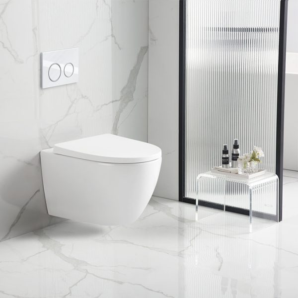 EcoDelux Matt White WhirlFlush Wall Hung Pan & Soft Close Seat - Image 3