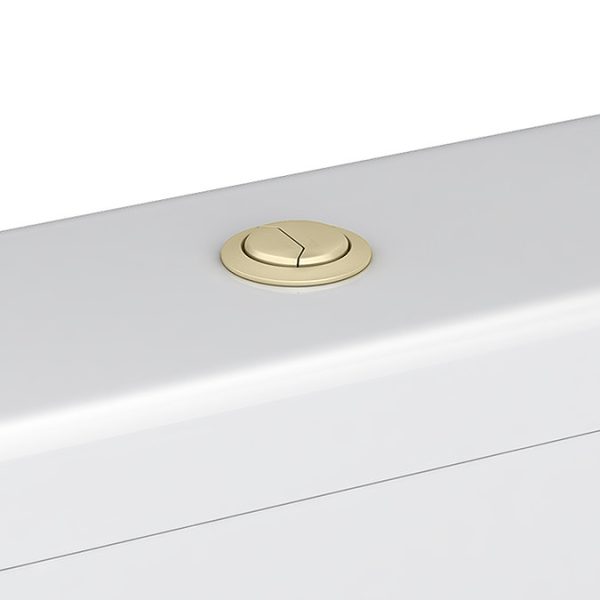 Arezzo Compact BTW Close Coupled Toilet with Soft Close Seat (Brushed Brass Flush + Hinges) - Image 2