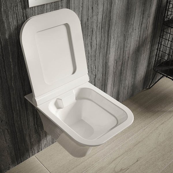 Hudson Reed Grace Rimless Wall Hung Pan & Soft Close Seat - Image 2