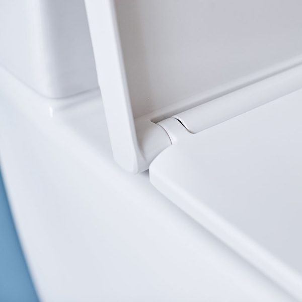 Britton Bathrooms Sphere Tall Rimless Back To Wall Pan + Soft Close Seat - Image 4