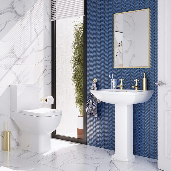 Roxbury Traditional Toilet with Soft Close Seat - Image 4