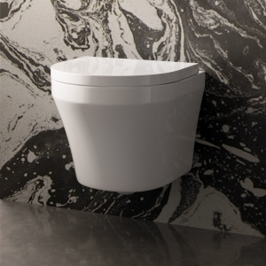 Toronto Modern Round Wall Hung Toilet + Soft Close Seat