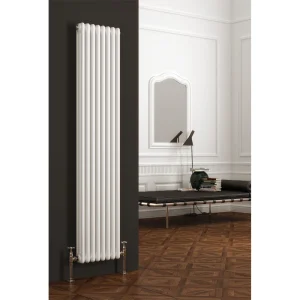 Reina Colona 2 Column Vertical Radiator   RAL Colour Options