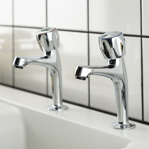 Abode Kitchen Pillar Taps (Pair)   Chrome