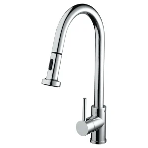 Bristan   Apricot Monobloc Kitchen Sink Mixer with Pull Out Spray