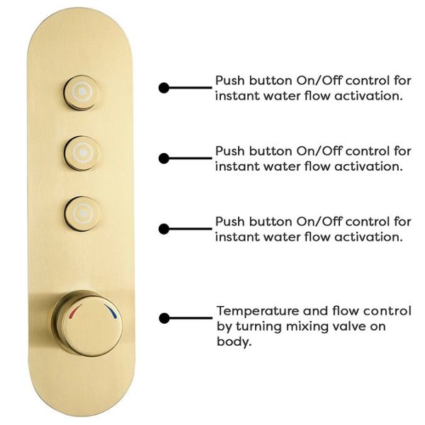 Arezzo Brushed Brass Industrial Style Push Button Shower Valve with Diverter, Handset, Fixed Shower Head + 4 Body Jets - Image 3
