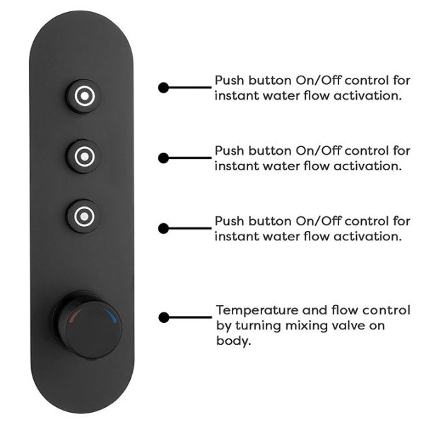 Arezzo Matt Black Industrial Style Push Button Shower Valve with Diverter, Handset, Fixed Shower Head + 4 Body Jets - Image 3