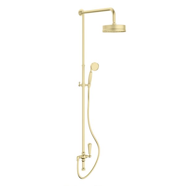 Arezzo Brushed Brass Dual Exposed Valve with Rigid Riser Kit, 195mm Shower Head, Handshower & Diverter - Image 6