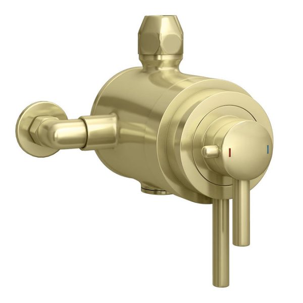 Arezzo Brushed Brass Dual Exposed Valve with Rigid Riser Kit, 195mm Shower Head, Handshower & Diverter - Image 3