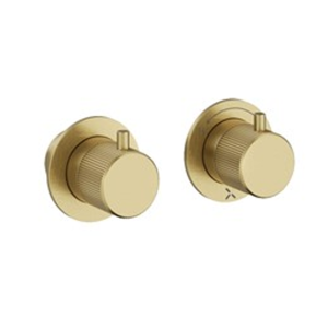 Crosswater Module 3ONE6 Brushed Brass 2 Outlet 2 Handle Concealed Shower Valve