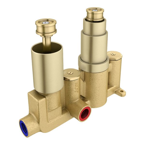 Arezzo Brushed Brass Industrial Style Shower System with Concealed Valve + Head - Image 6