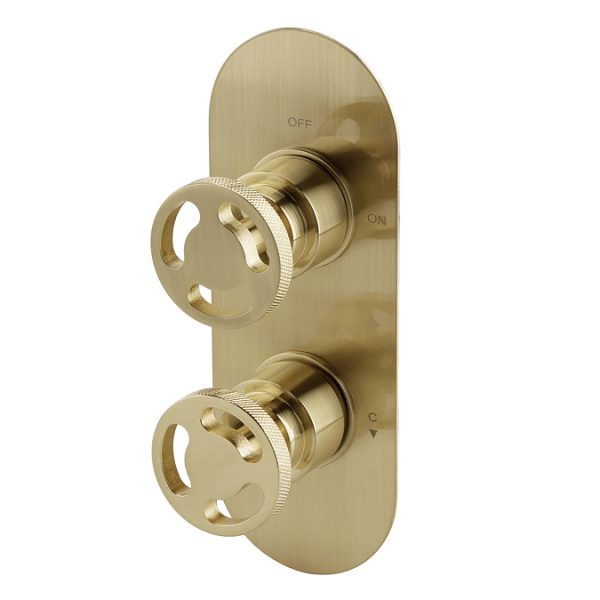 Arezzo Brushed Brass Industrial Style Shower System with Concealed Valve + Ceiling Mounted Head - Image 3