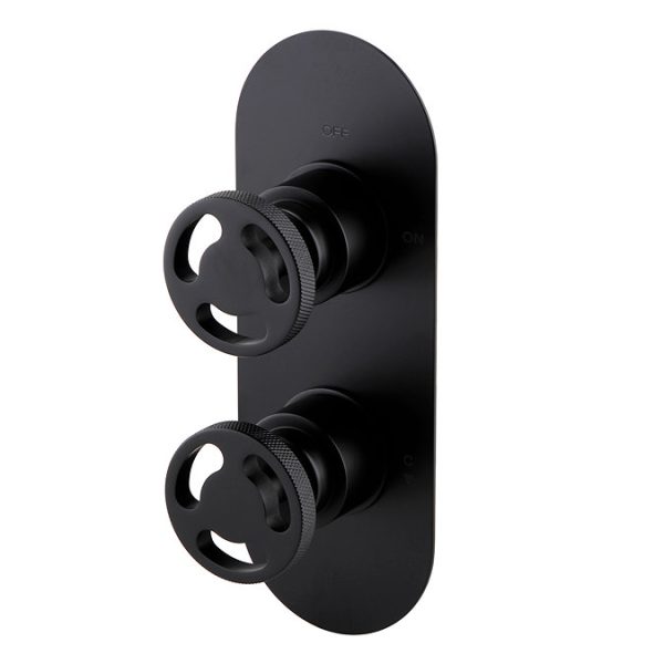 Arezzo Matt Black Industrial Style Shower System with Concealed Valve + Ceiling Mounted Head - Image 4