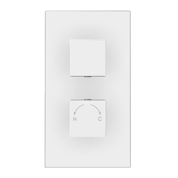 Milan Twin Shower Valve incl. Outlet Elbow, Handset + Ultra Thin Head with Vertical Arm - Image 5