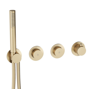 Crosswater Module MPRO Push 2 Outlet Concealed Shower Valve with Handset   Brushed Brass