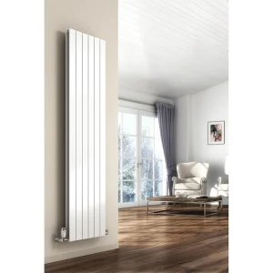 Reina Flat Vertical Double Panel Designer Radiator   RAL Colour Options