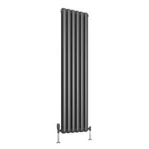 Reina Coneva Vertical Steel Designer Radiator   Anthracite