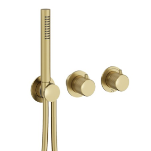Crosswater Module 3ONE6 Brushed Brass 2 Outlet 2 Handle Shower Valve with Hand Shower + Concealed Valve