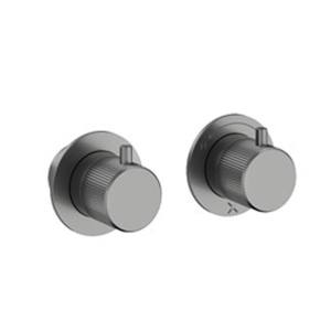 Crosswater Module 3ONE6 Stainless Slate 2 Outlet 2 Handle Concealed Shower Valve