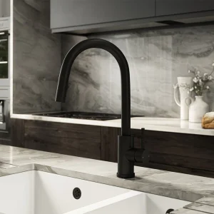 Venice Matt Black Kitchen Sink Mixer with Concealed Pull Out Hose and Spray Head