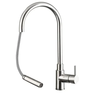 JTP Zeeca Stainless Steel Single Lever Kitchen Sink Mixer with Pull Out Spray